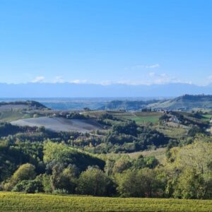 vigne dogliani autunno ph barbara gramolotti